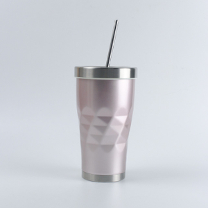20oz Electroplating paint Double Wall Stainless Steel Insulation Tumbler Sport Car Travel Drink Bottle With Lid And Straw 